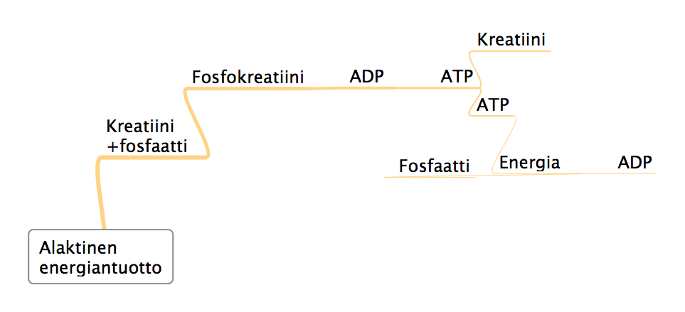 Alaktinen energiantuotto