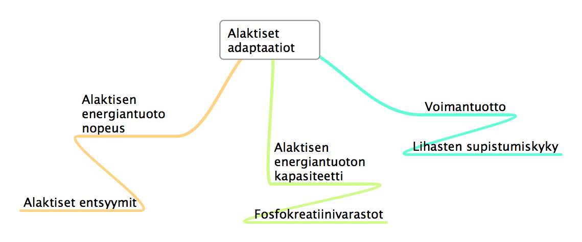 Alaktiset adaptaatiot